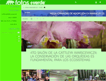 Tablet Screenshot of galeriaverd.masverdedigital.com